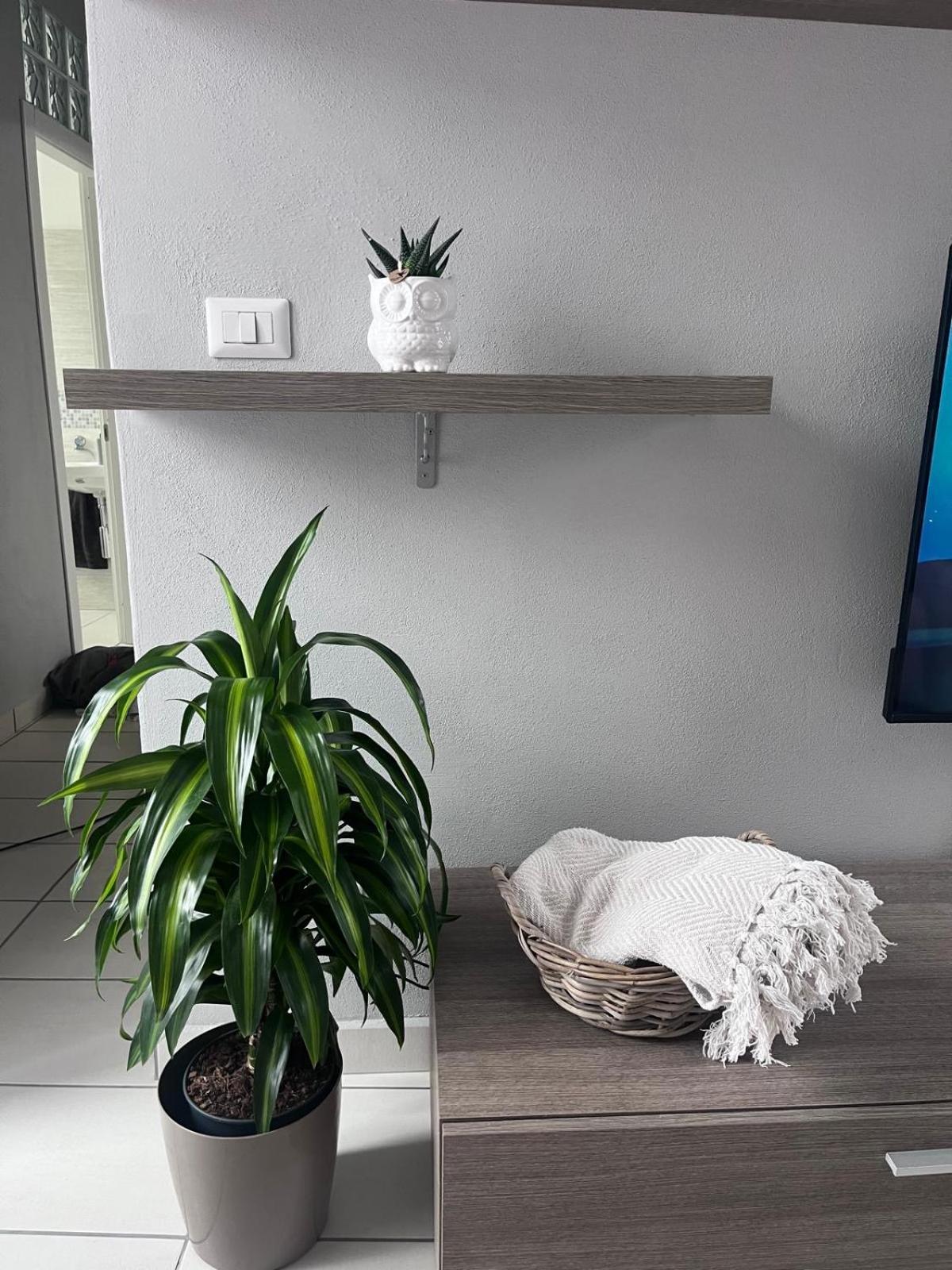 Casa Castagna Appartamento - Lecco Dış mekan fotoğraf